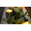Guirlande ou chemin de table Seeded Silver Dollar & Needleleaf Eucalyptus-588677824