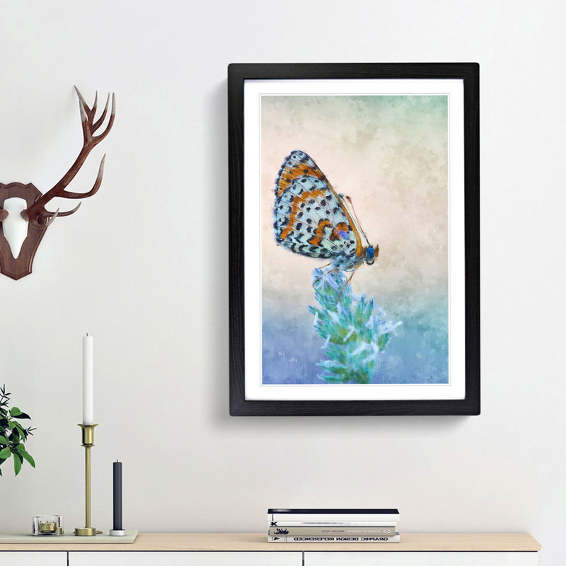 Butterfly Perched upon a Flower - Picture Frame Graphic Art Print, 33cm H x 24cm W x 2cm D, Black Framed