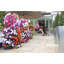 Pot Planter-14033568