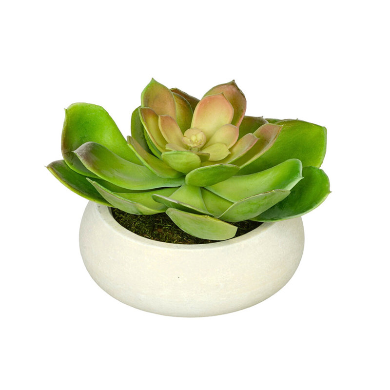 Jardinière avec succulent Echeveria artificielle, Blanc, Pointe rouge