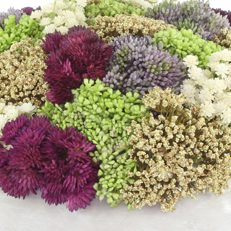 Crisel Sedum et le souffle de bébé dans un pot en pierre