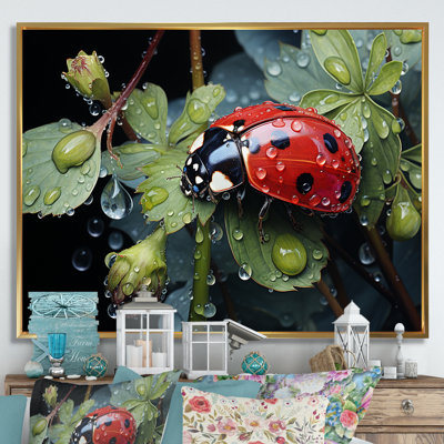 " Rainy Ladybugs Lullaby "