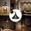 Goins Iron Armed Sconce