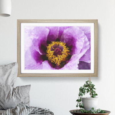 Purple Peony Flower Vol.1 - Framed Print