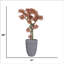 Plante de bonsaï 55,5 po H-touch