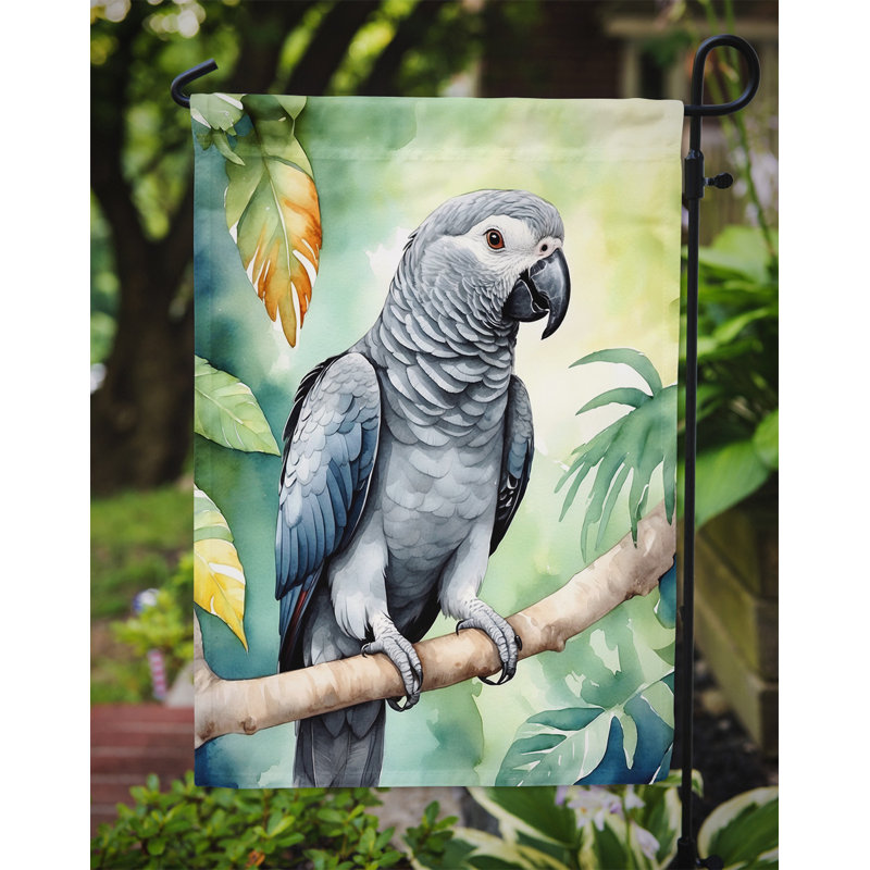 Drapeau de jardin, Perroquet jaco