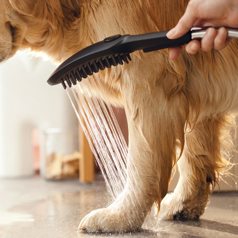 Hansgrohe Dog Shower, 3-Spray, 1.75 GPM, Matte Black
