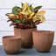 Ensemble de pots à fleurs 3 pièces-516122977