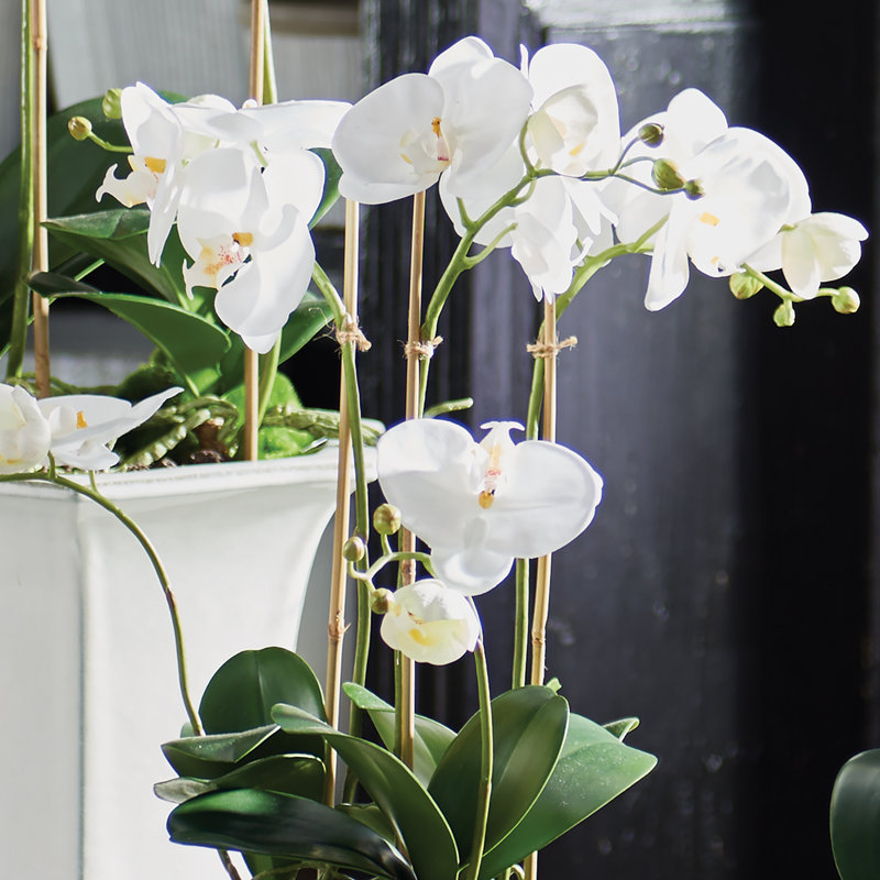 Barclay Butera Orchid In Ceramic Pot