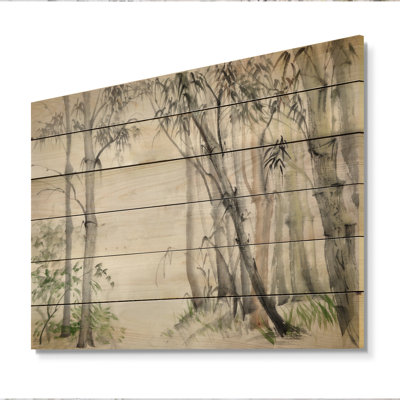 Forêt de bambou chinois - Forêt