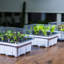 12 Hole Seed Starter Tray Plant Grow Box Nursery Pot Greenhouse Seedling Tray