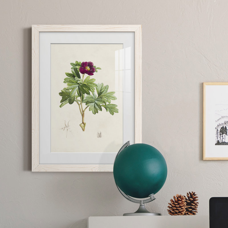 «Pretty Botanicals III», cadre photo, H 44 po x l 31 po x P 1 po, Cadre blanc