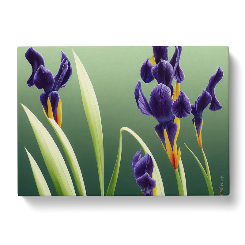 Shimmering Iris - Wrapped Canvas, 50cm H x 76cm W x 3cm D