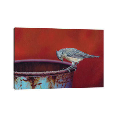 Just Curious by Camille Engel - Wrapped Canvas Print