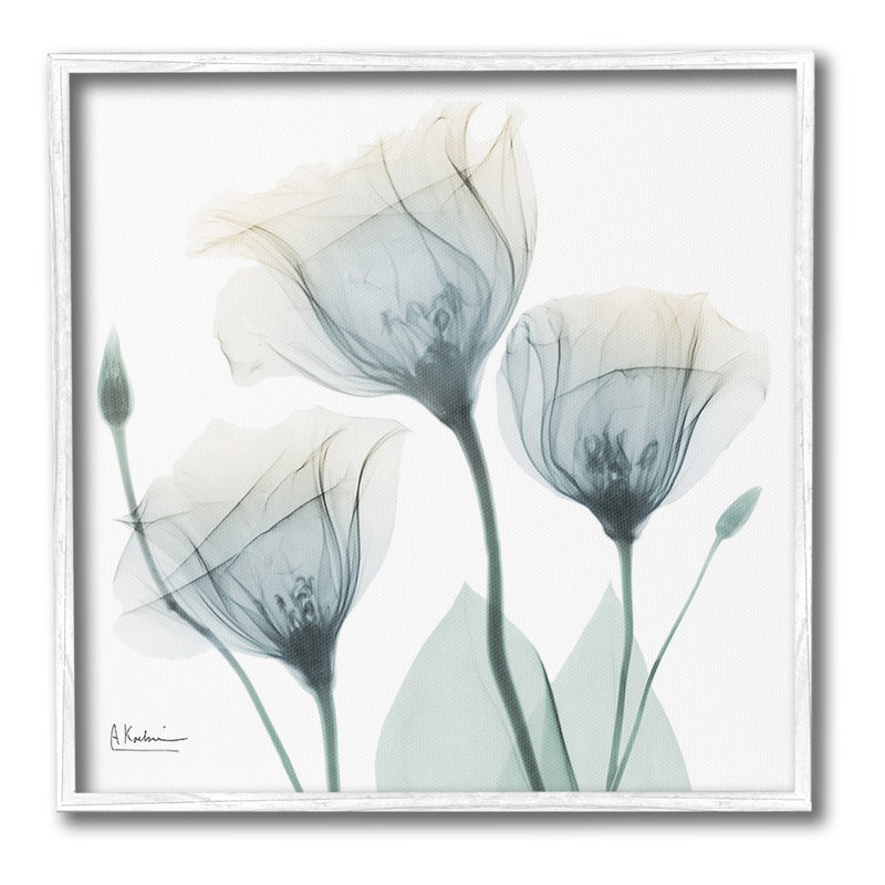 Douces tulipes opaques, giclée par Albert Koetsier, Giclée encadrée blanc bord de mer, H 12 po x l 12 po