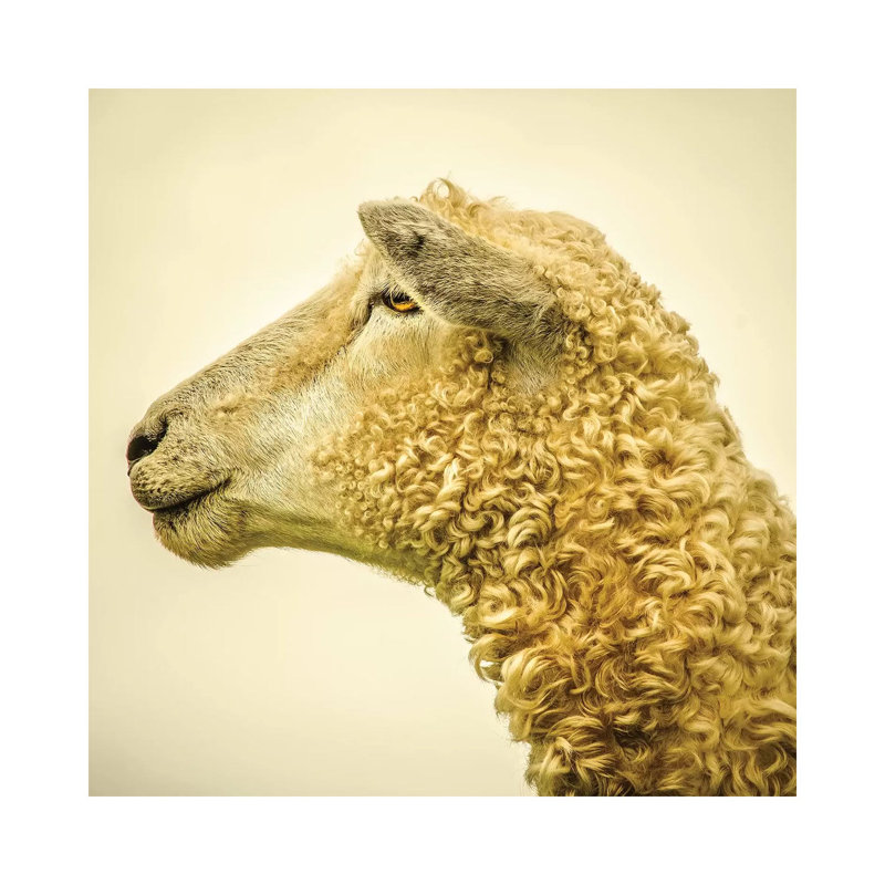 « Curly II » par Mark Gemmell-impression d’art graphique, Pas de tapis, Toile tendue, H 12 po x l 12 po x P 0,75 po