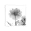 Dahlia Twins by Albert Koetsier - Gallery-Wrapped Canvas Giclée on Canvas-279267262-306781526