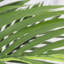 Faux palmier en pot en plastique noir plante de palmier Areca-838864202-838862036