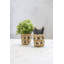 KitchenCraft Water Hyacinth Planters, Striped