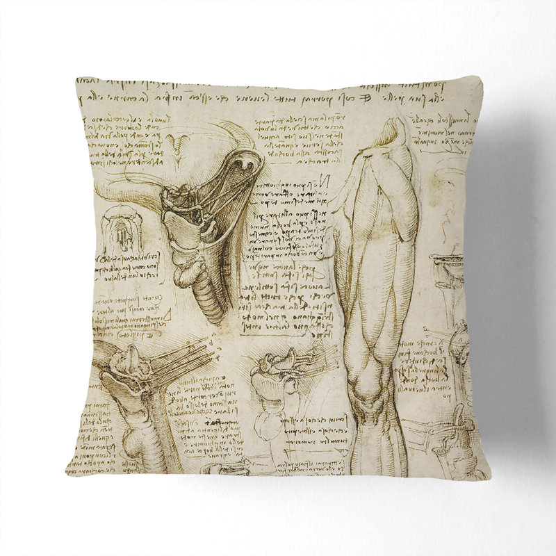 Human Anatomy Vol.7 Square Throw Cushion, 55cm H x 55cm W x 20cm D, Black