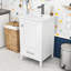 Meuble-lavabo compact 20 po avec portes à fermeture en douceur et lavabo-1706374471