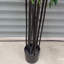 Fire Retardant Artificial Tree 200cm Faux Palm Tree in Pot Liner