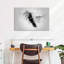 Small Hummingbird Black And White-108875819