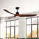 Baylor 60'' Ceiling Fan with LED Lights