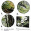 «Forest Secret Haven», reproduction sur toile 3 pièces-1492524006