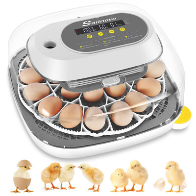 24 Egg Incubators For Hatching Eggs, 4 Modes Egg Incubator With Automatic Egg Turning And Humidity Display, Egg Candler - 360° View With Clear Window Incubators For Hatching Chicks