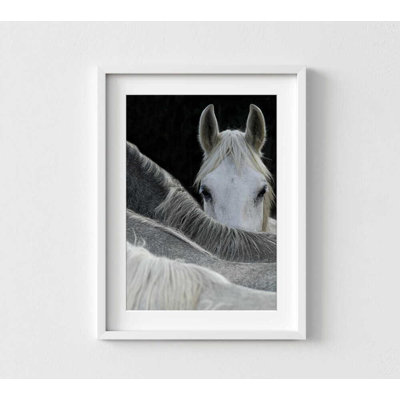 Reproduction de photo de cheval - force tranquille, décor moderne
