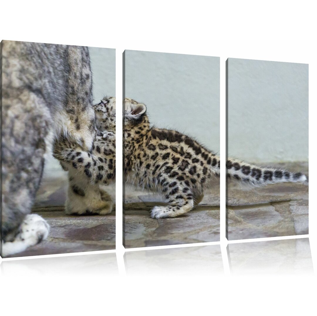 3-tlg. Leinwandbilder-Set „Kleiner Leopard beim Spielen“, Fotodruck