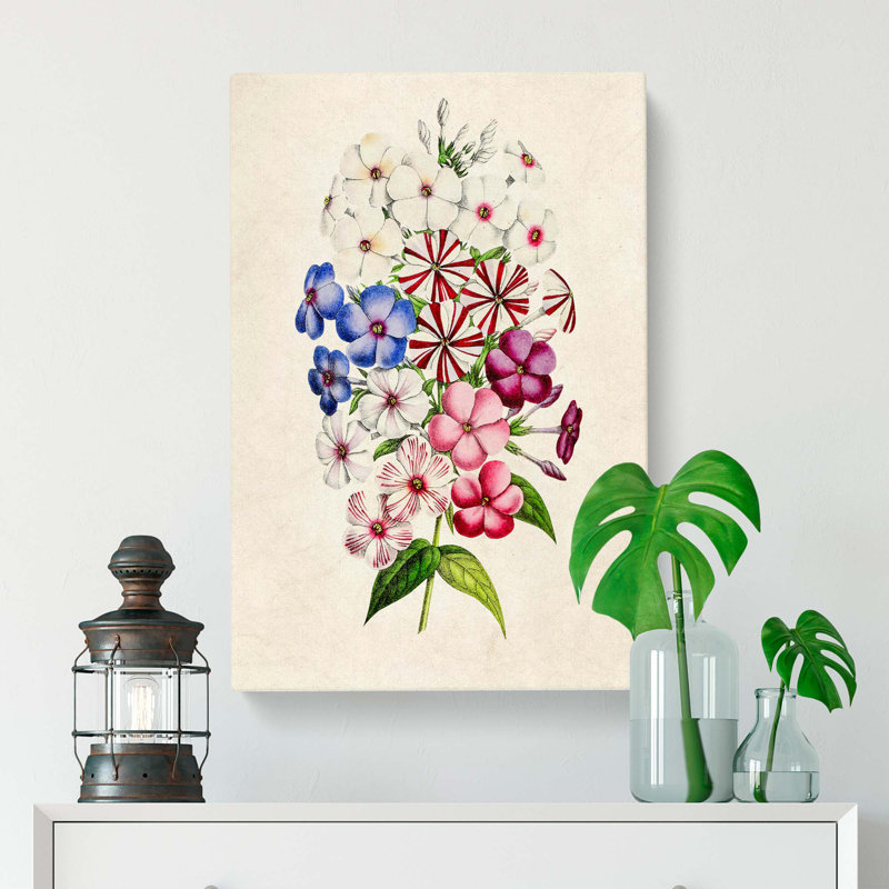 Illustration of a Petunia Flowers - Wrapped Canvas Painting Print, 50cm H x 35cm W x 3cm D
