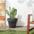 Murtagh Pot Planter-16107923-16107925