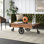Zona Solid Wood Top Single Coffee Table