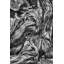 Bristlecone Study I Print by Harold Davis-26677857-26677858