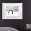 « eurasian eagle hibou », reproduction de photo sur toile tendue-25773838-25774122-25774123