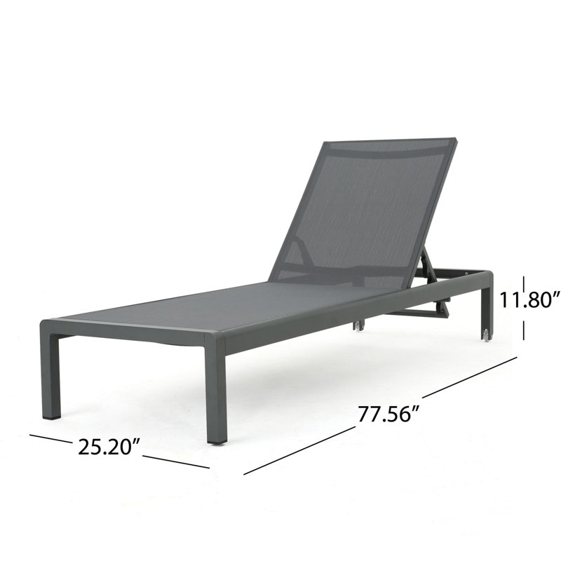 Ensemble de chaise longue d'extérieur en métal Louree, Gris