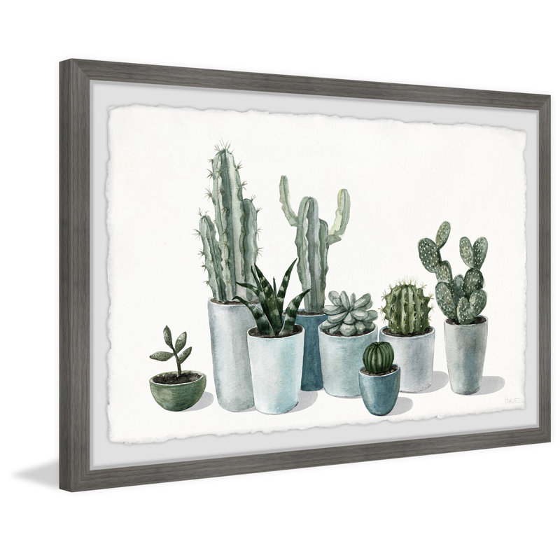 Growing Cactus And Succulents by Parvez Taj - Single Picture Frame Painting, 41cm H x 61cm W