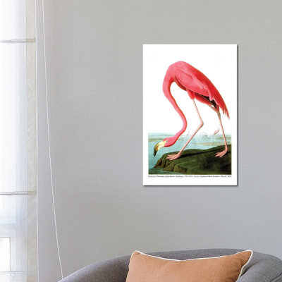 «American Flamingo, 1834» par John James Audubon, impression sur toile tendue