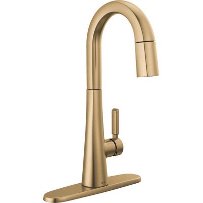 Monrovia Bar Faucet with Pull Down Sprayer