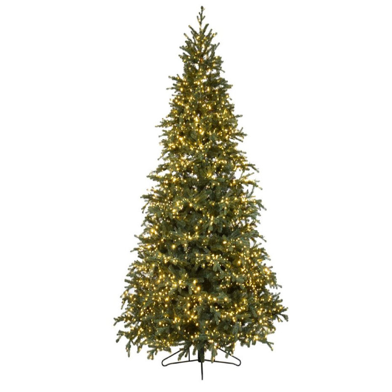 Sapin de Caroline Fraser éclairé par Forevertree, 7,5 pi