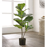 35.83'' Faux Fiddle Leaf Fig Tree in Freestanding