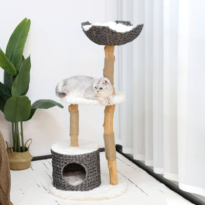 51" Duriye Cat Tree