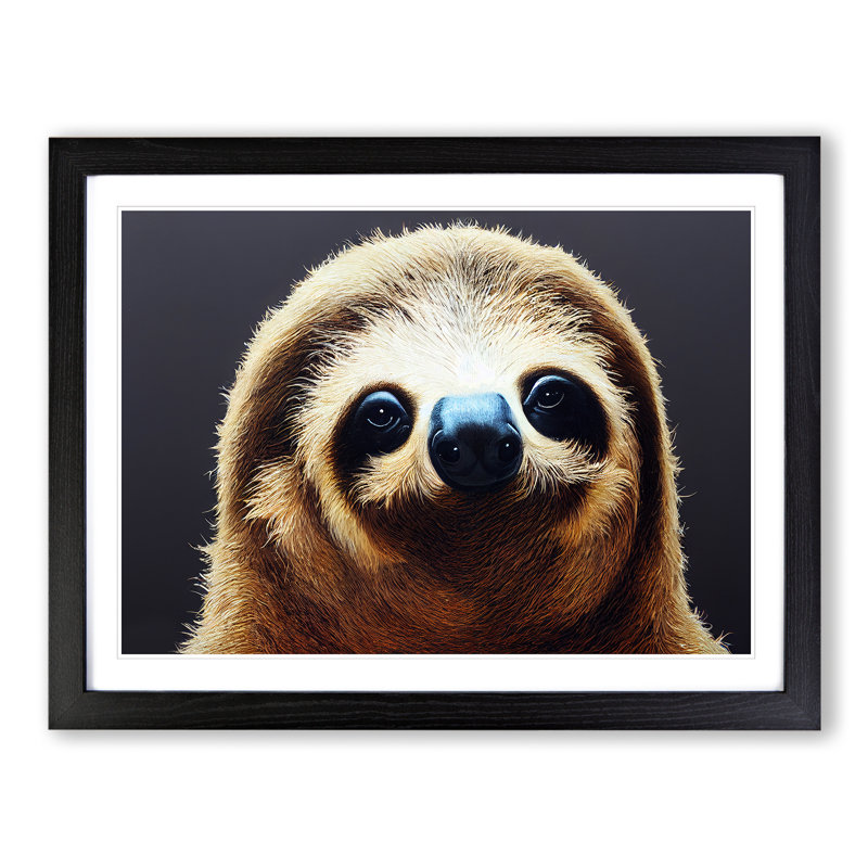 Cute Sloth - Framed Print, Black, 46cm H x 64cm W x 2cm D