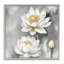 Art en giclée encadrée de lotus blanc en herbe par Kim Allen-108616062-108616063