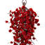 Tiges de fleurs de plumes