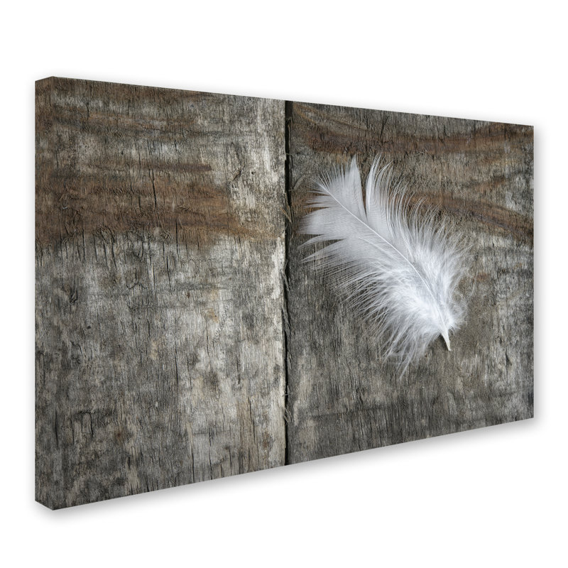 « plumes on wood ii », reproduction de photo sur toile tendue, H 30 po x l 47 po x P 2 po