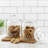 JoyJolt Glass Cookie Jar with Airtight Lid, 67oz.
