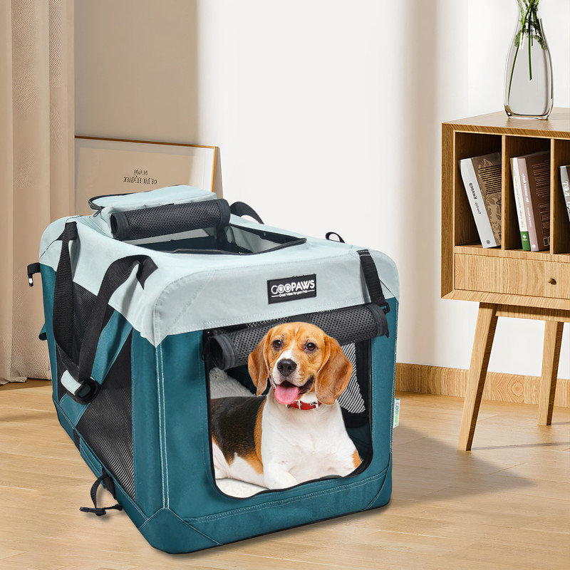 Cage de transport pour animal de compagnie 3 portes GOOPAWS, bleu sarcelle, bleu sarcelle, 30 po, H 23 po x l 21 po x P 30 po